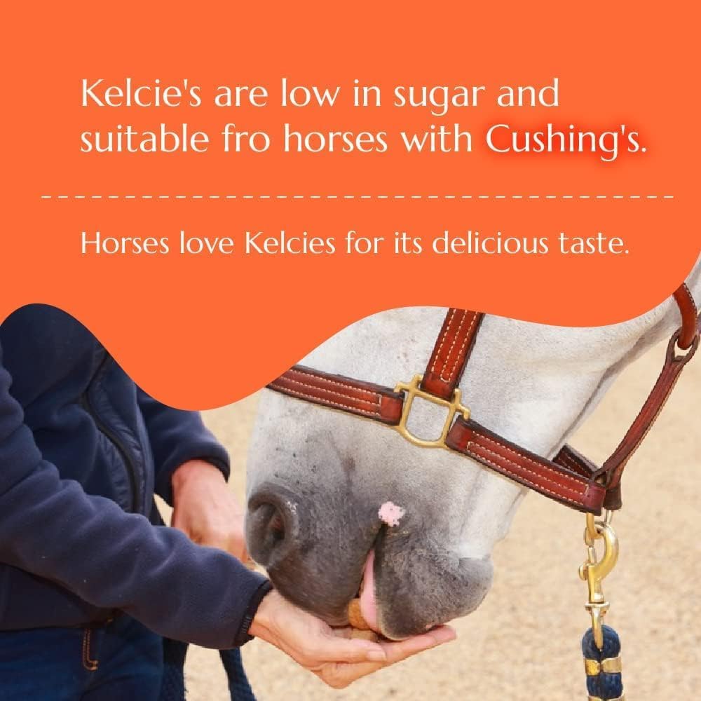 Healthy Low Sugar Horse Treats - Low Starch & Carb Digestive Support Snacks for Horses | 15lb Refill Pack | Perfect for Training, Rewards & Bonding with Your Horse