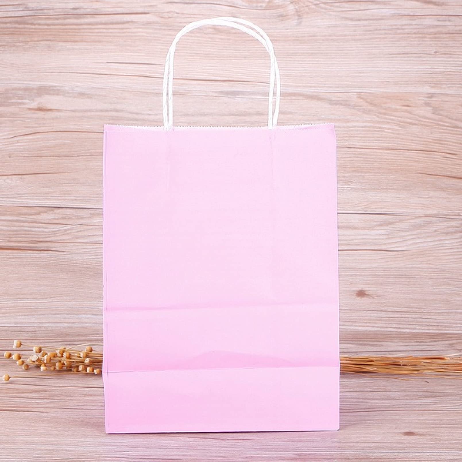 10 Pack Classic Solid Color Paper Gift Bags - Eco-Friendly Lunch Bags, Takeaway Bags for Birthday, Holiday, Party Favors & Costume Accessories | Perfect for Gifting, Packing Snacks & Everyday Use