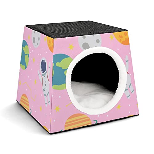 Color7