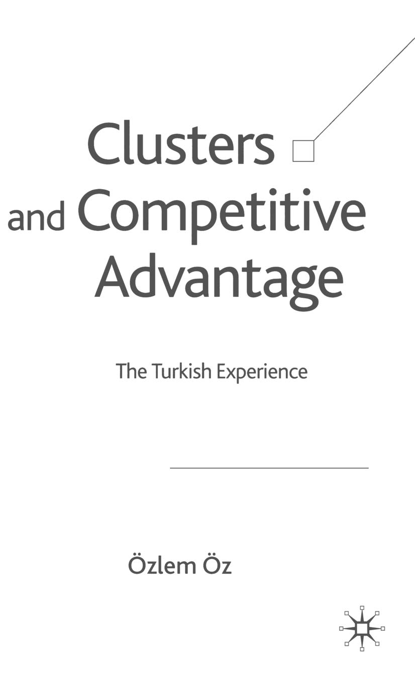 Clusters and Competitive Advantage: The Turkish Experience - Business Strategy Insights for Global Markets