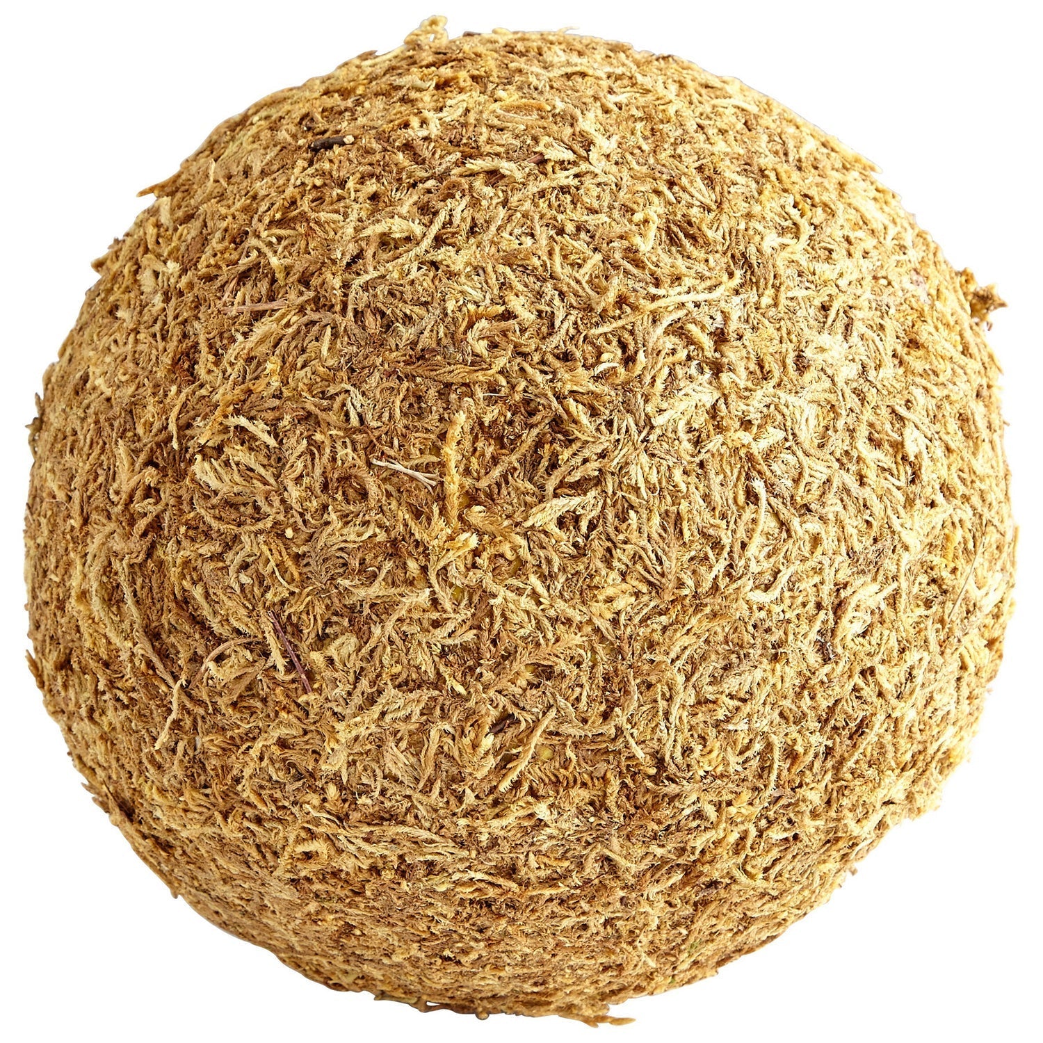 Cyan Design 07296 St. Augustine Filler - Brown Moss Large | Decorative Filler for Vases, Centerpieces & Home Decor