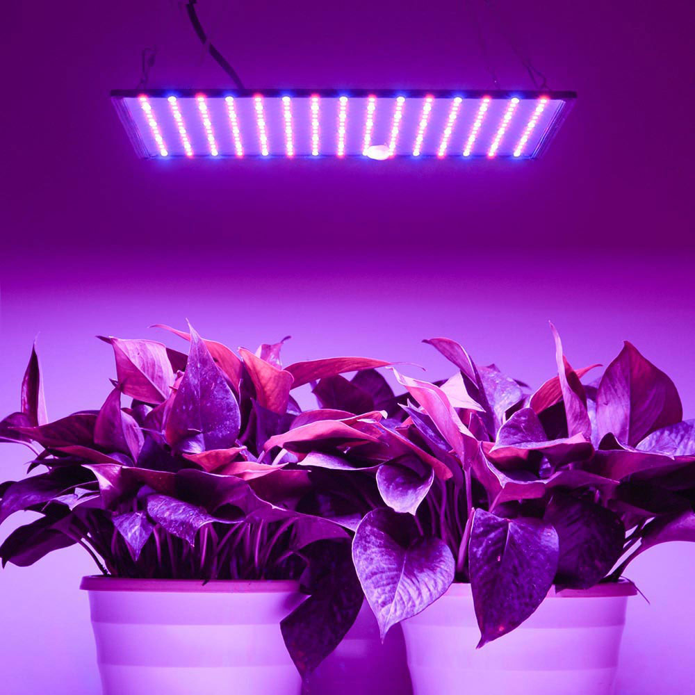 TheLAShop 225 LED Grow Light Panel - Ultra Thin Full Spectrum Plant Light with Blue & Red LEDs for Indoor Plants, Hydroponics, Greenhouses & Home Gardening