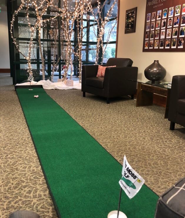 Golf TW Series 10 V2 Two-Way 2' x 10' Practice Putting Green Mat with 2 Cups - Perfect for Indoor & Outdoor Golf Training, Home Office, or Backyard Practice