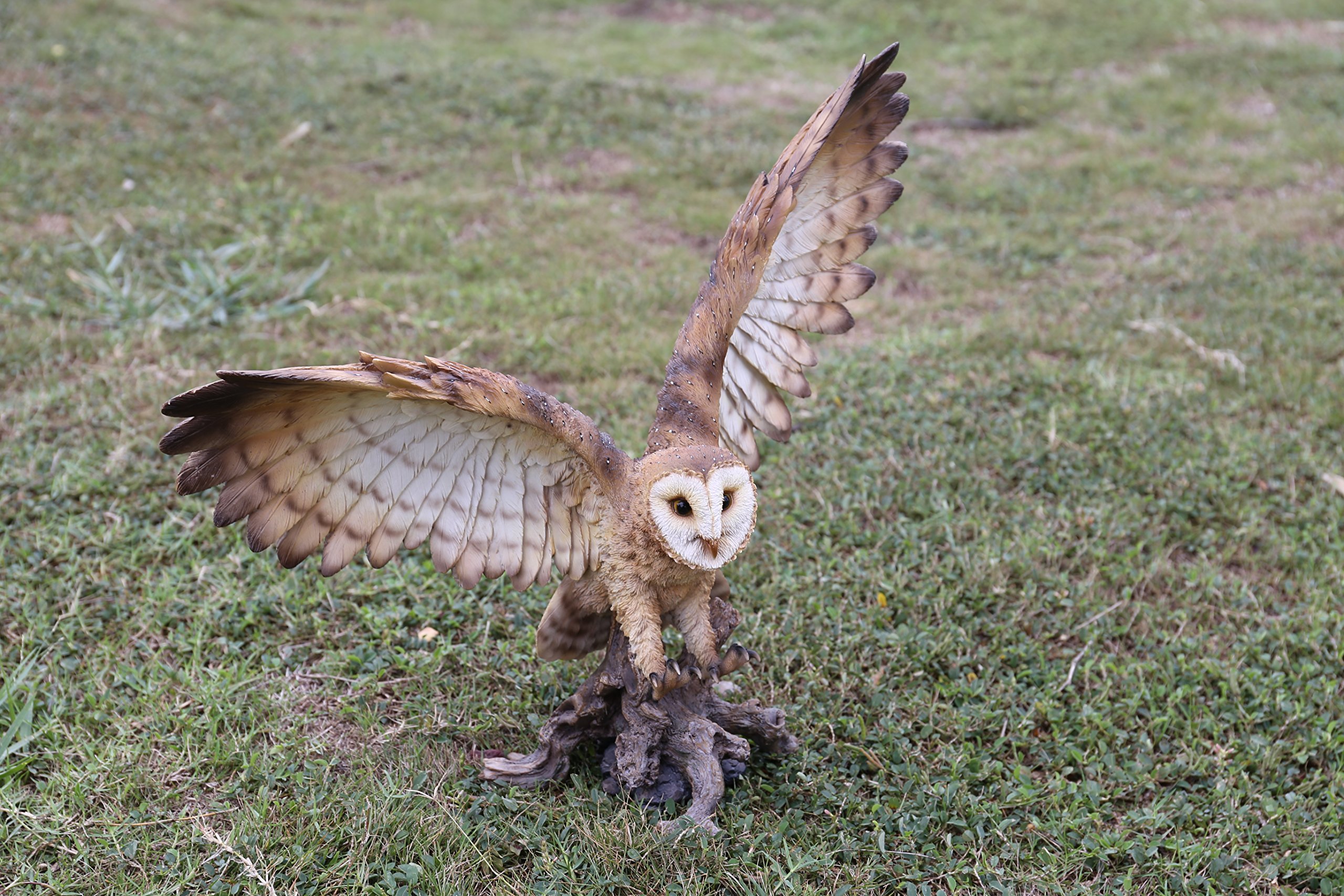 Hi-Line Gift 87727-B Realistic Barn Owl on Stump Statue with Spread Wings - Handcrafted Home Decor for Garden, Patio, or Indoor Display
