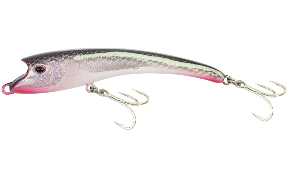 Olive Back Shad