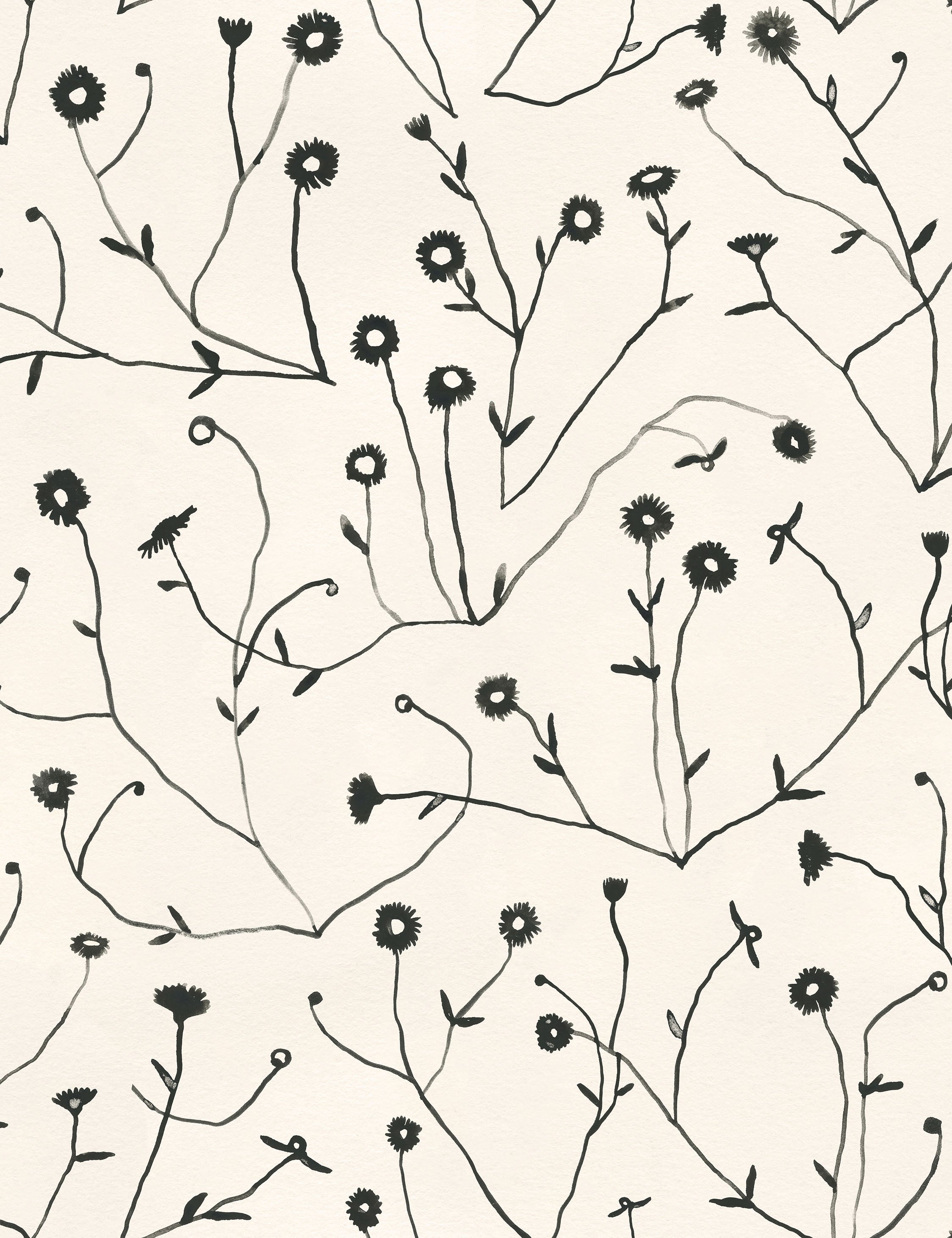 Susan Hable Swatch Natural Curb Feelers Wallpaper - Perfect for Living Room, Bedroom & Home Decor