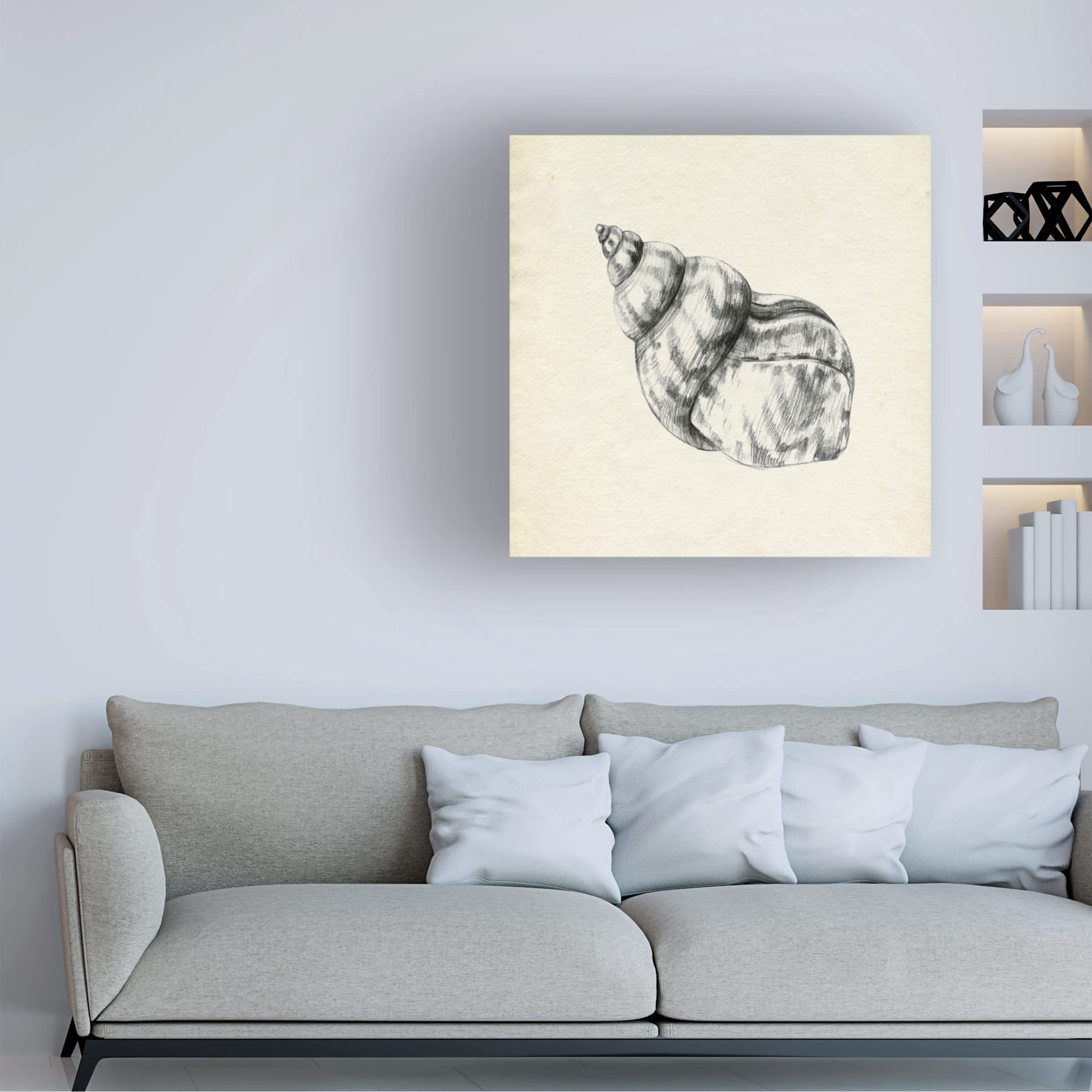Emma Caroline 'Seashell Pencil Sketch III' Canvas Wall Art Print - Coastal Beach Decor for Living Room, Bedroom & Office