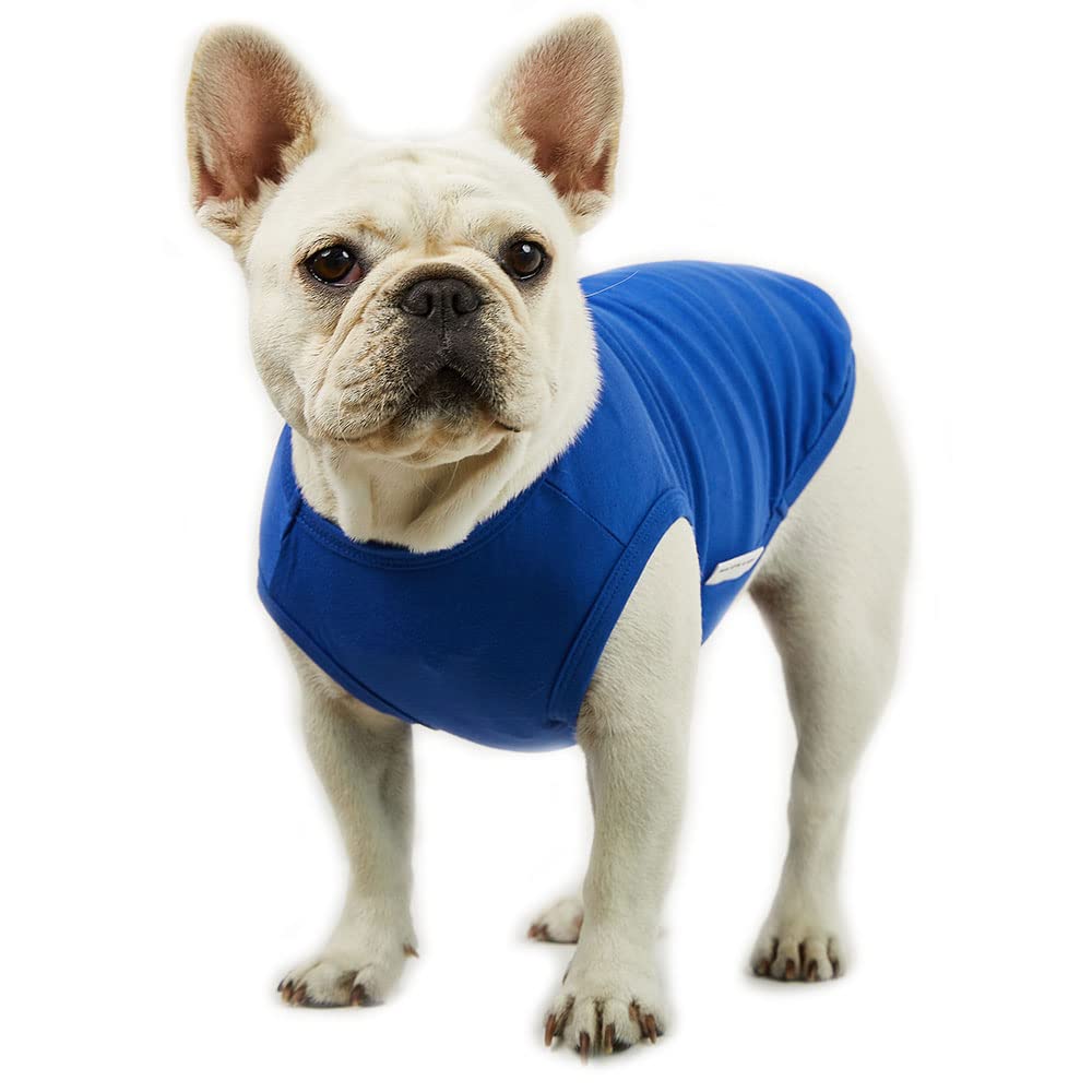 Dog Sleeveless Tank Top - Soft Breathable Cotton Shirt for Dogs - Plain Pet T-Shirt for Summer - Cool & Comfortable Dog Clothes (Large, Blue) - Perfect for Outdoor Walks, Beach Trips & Playtime
