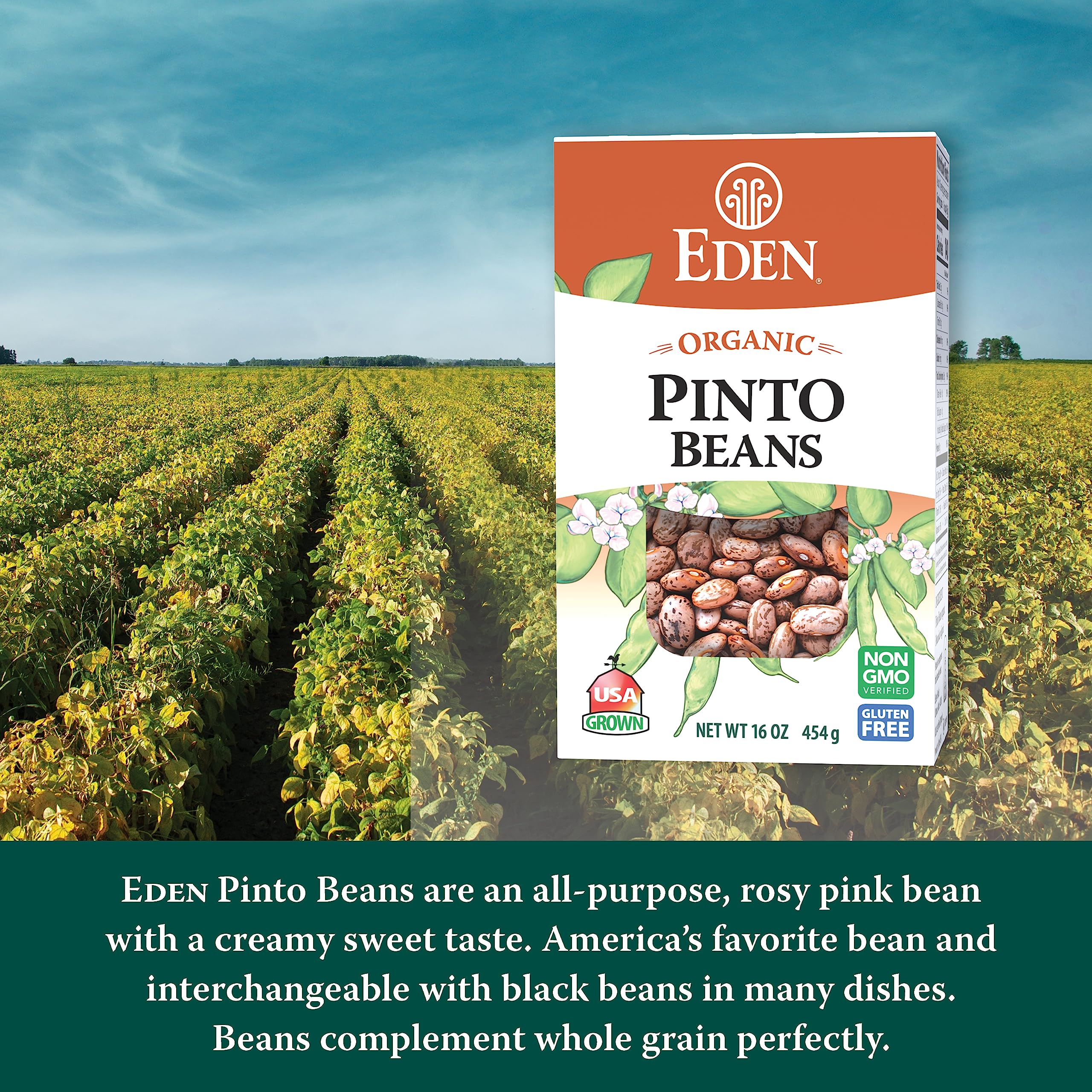 Eden Foods Organic Dry Pinto Beans - Gluten Free, Non-GMO, 16 Oz (Pack of 12) - Perfect for Healthy Cooking, Mexican Dishes & Meal Prep