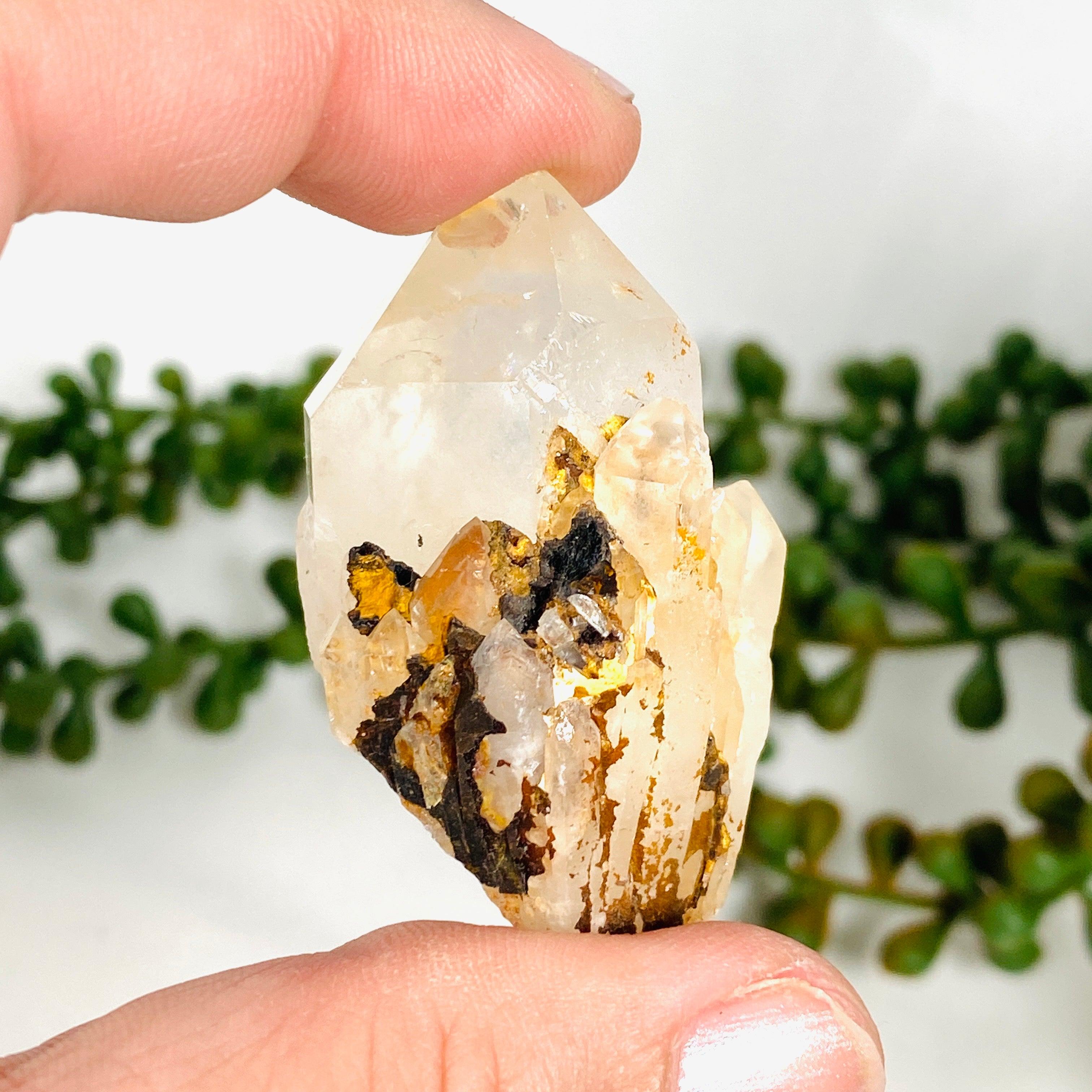 Natural Clear Quartz Crystal Cluster CQ29 - Healing Stone for Meditation, Reiki, and Home Decor