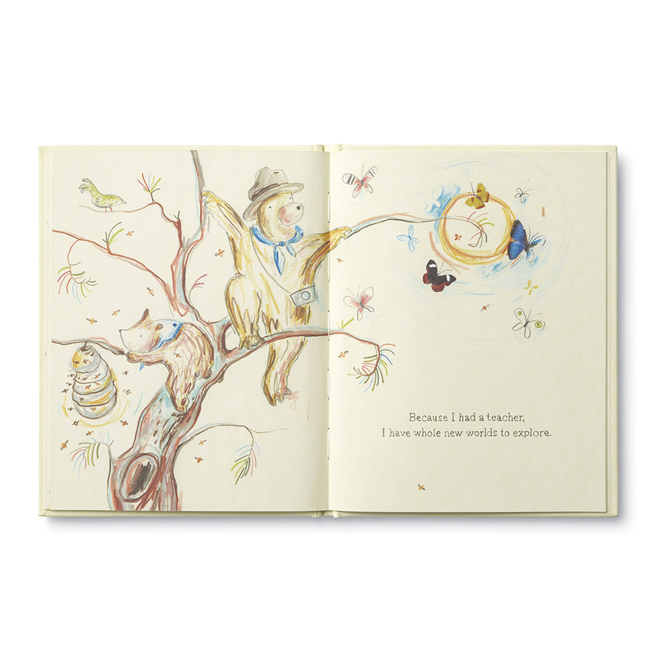 Because I Had A Teacher by Kobi Yamada - Inspirational Children's Book About Teacher Appreciation & Life Lessons - Perfect for Teacher Gifts, Classroom Reading & Parent-Child Storytime