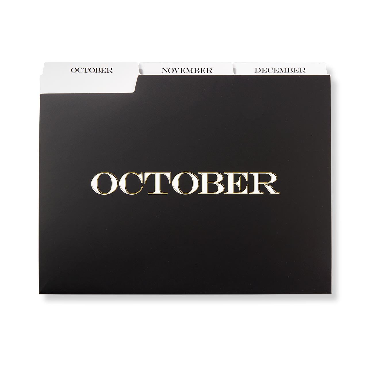 Avant Garde Monthly File Folders - Set of 12, Letter Size, Hanging & Expanding File Folders for Office Organization - Perfect for Monthly Billing, Tax Documents & Home Office Filing
