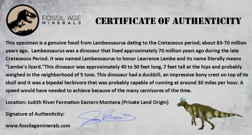 Authentic 2.2