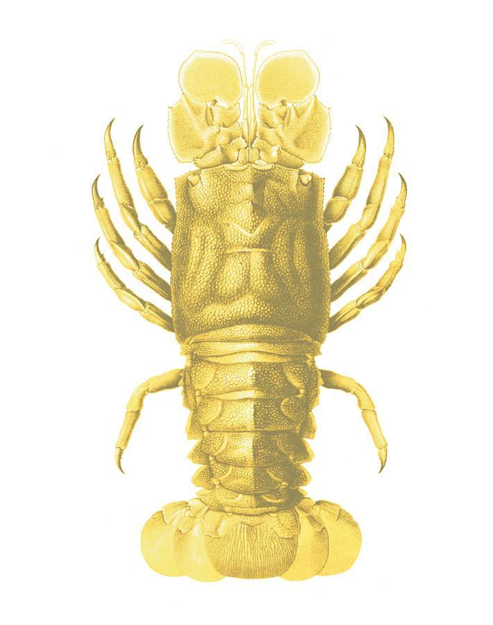 Jack The Crustacean