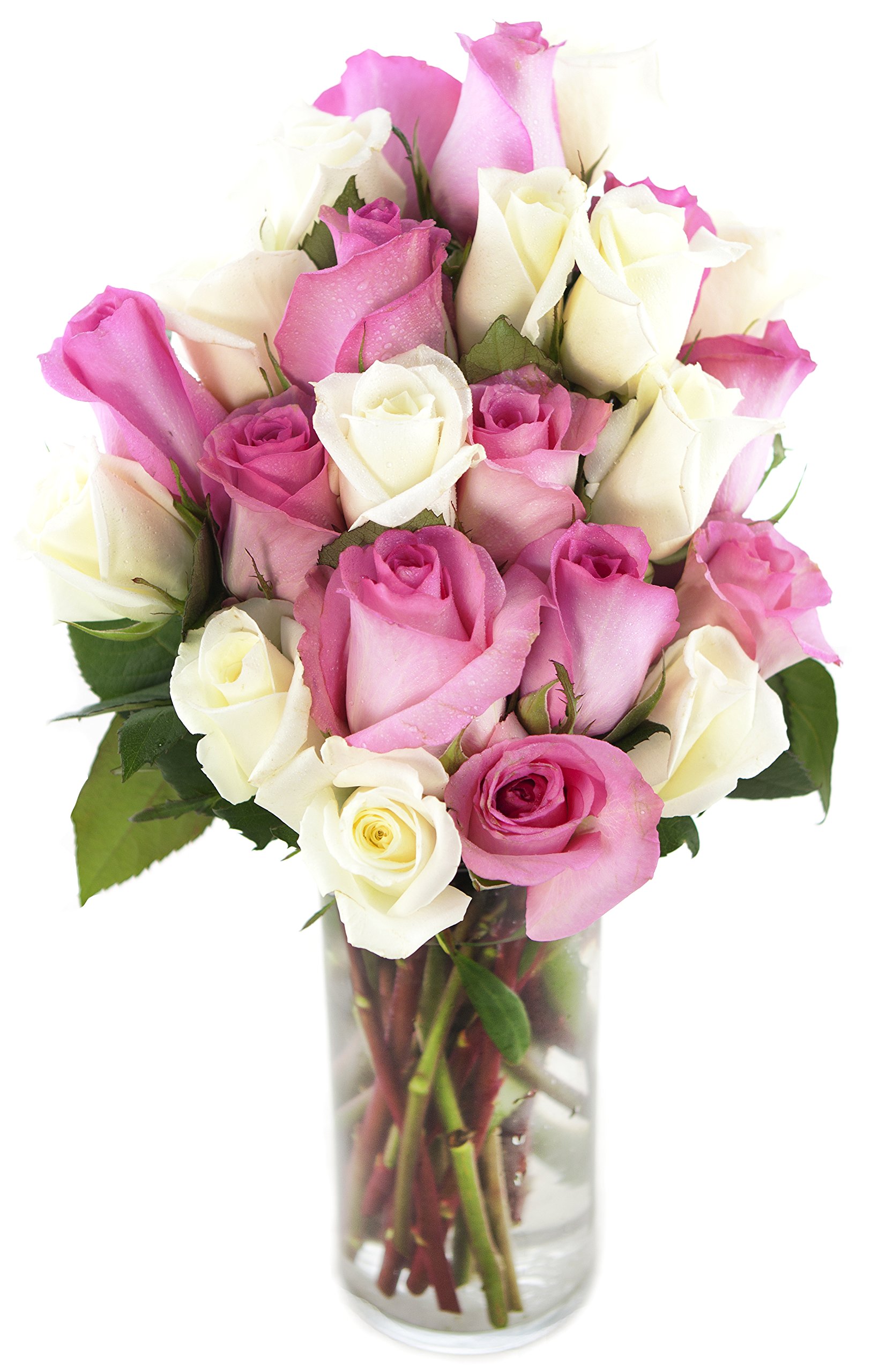 KaBloom Fresh Pink & White Roses (24 Stems) with Vase - Premium Mother's Day Flowers for Next Day Delivery | Perfect Gift for Birthdays, Valentine's, Get Well Soon, Thank You & Special Occasions | Ideal for Home Decor, Wedding Centerpieces & Romantic Surprises