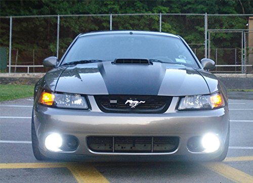 Halo Fog Lights for 1999-2004 Ford Mustang GT & SVT Cobra - Durable LED Bumper Lights for Night Driving & Off-Road Use