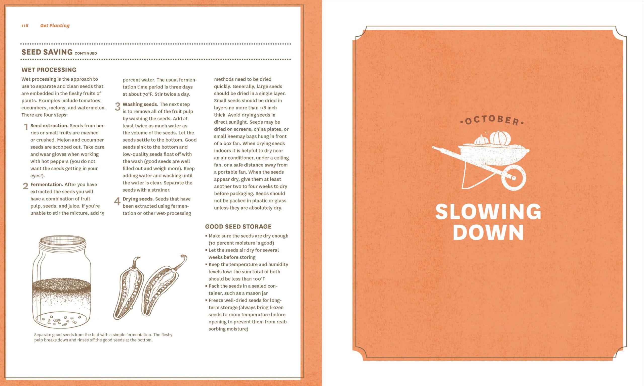 The Timber Press Guide to Vegetable Gardening in the Southeast - Expert Tips for Growing Fresh Produce in Southern Climates | Perfect for Home Gardens, Urban Farming & Sustainable Living