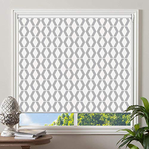 PASSENGER PIGEON Blackout Roller Shades with Valance - Thermal Insulated Waterproof Window Blinds for Light Filtering & Sun Protection - Perfect for Bedroom, Nursery & Home Office (Pattern 1)