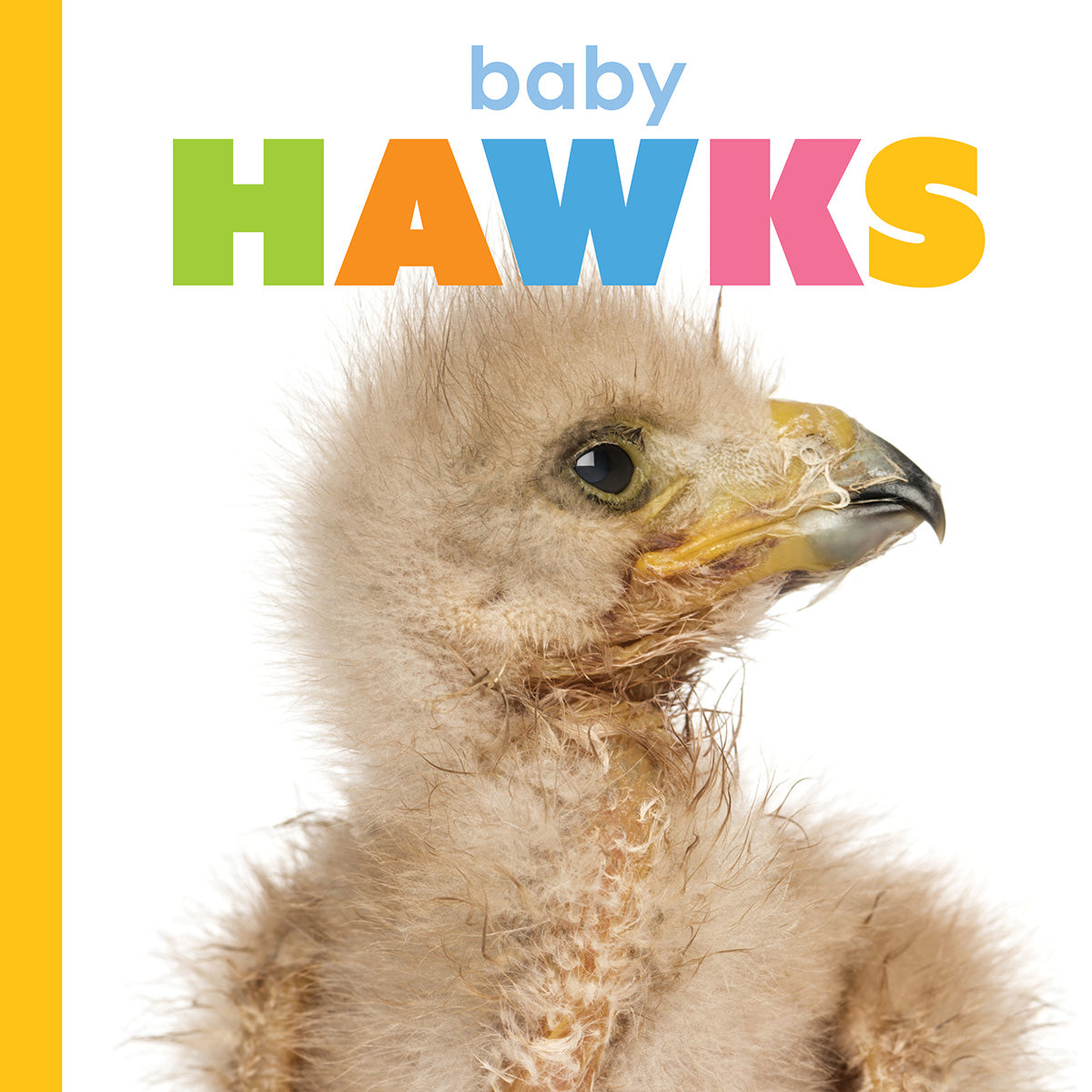 Baby Hawks Starting Out - Essential Beginner Gear for Young Birdwatchers | Perfect for Outdoor Adventures & Nature Exploration