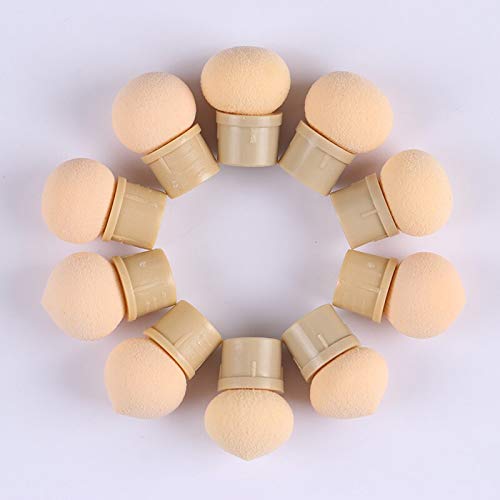 10pcs brush head