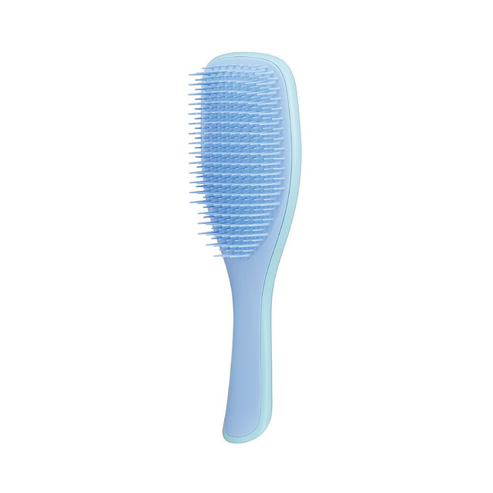 Tangle Teezer Wet Detangler Hair Brush - Gentle Detangling for Wet & Dry Hair - Perfect for Showers, Salons & Travel - Reduces Breakage & Pain-Free Brushing