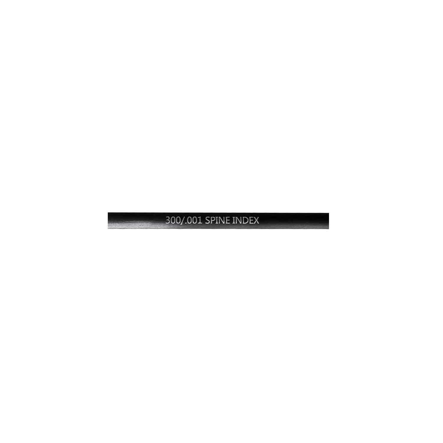 Black Eagle FOCUS V1 Fletched .165 Carbon Arrows - High Performance Hunting Arrows for Target Practice & Bowfishing | Perfect for Outdoor Sports & Archery Competitions