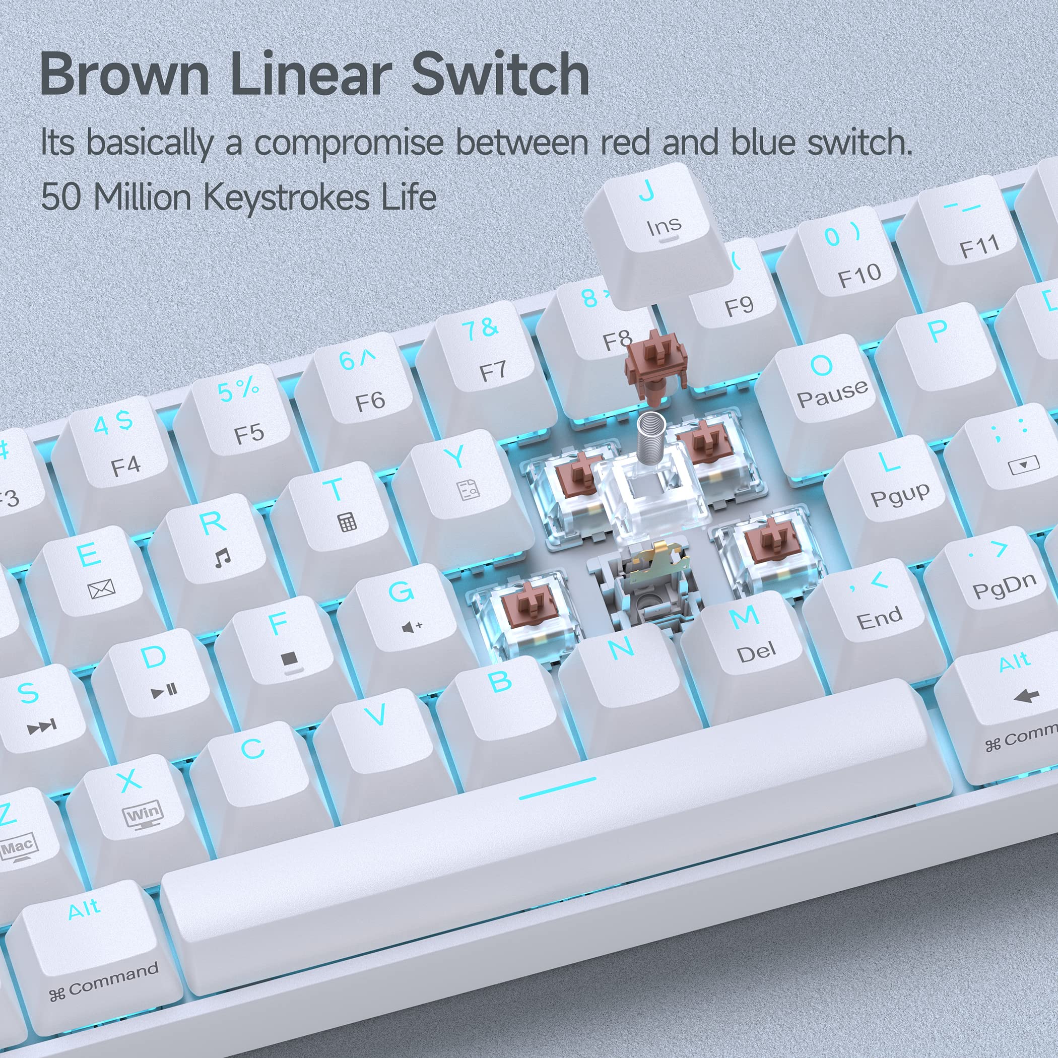 DIERYA DK61SE 60% Compact Mechanical Gaming Keyboard - 61 Keys with Anti-Ghosting, RGB Backlight, USB-C Detachable Cable - Tactile Brown Switches for PC, Laptop, Mac - Perfect for Gaming, Typing & Office Work
