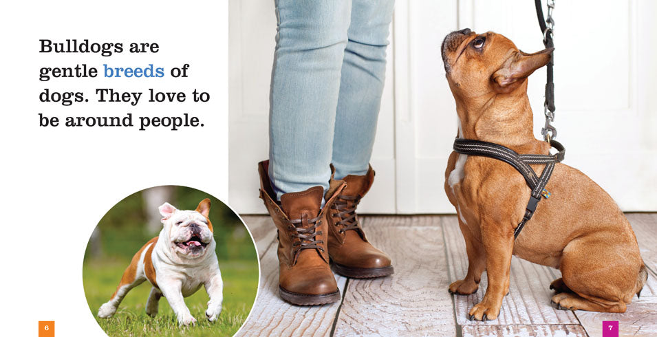 Bulldogs: The Ultimate Guide to Care, Training, and Breeding | Perfect for Bulldog Lovers & Owners | Home, Travel & Outdoor Activities