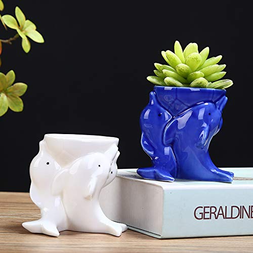 Creative Cartoon Dolphin Ceramic Flower Pot - Succulent Planters & Cute Home Decor Vase (Blue) for Indoor Plants, Office Desk & Gift Ideas