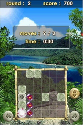 Zenses: Rainforest Edition - Nintendo DS Game | Relaxing Puzzle & Nature Sounds for Stress Relief | Perfect for Travel & Home Entertainment