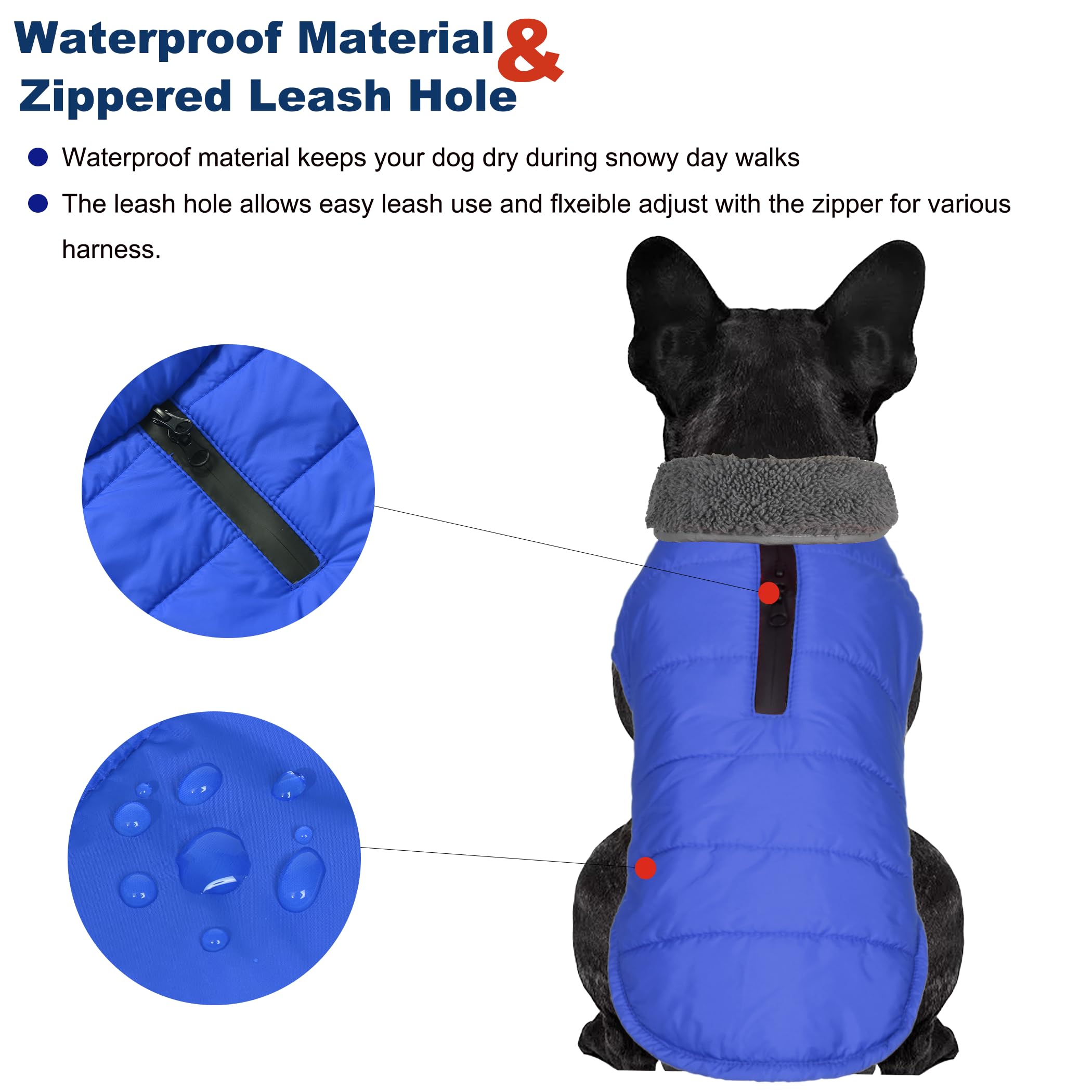 Waterproof Reflective Dog Winter Coat with Leash Hole - Windproof Fleece Snow Jacket for Small Medium Large Dogs - Blue XS - Perfect for Cold Weather Walks & Outdoor Adventures