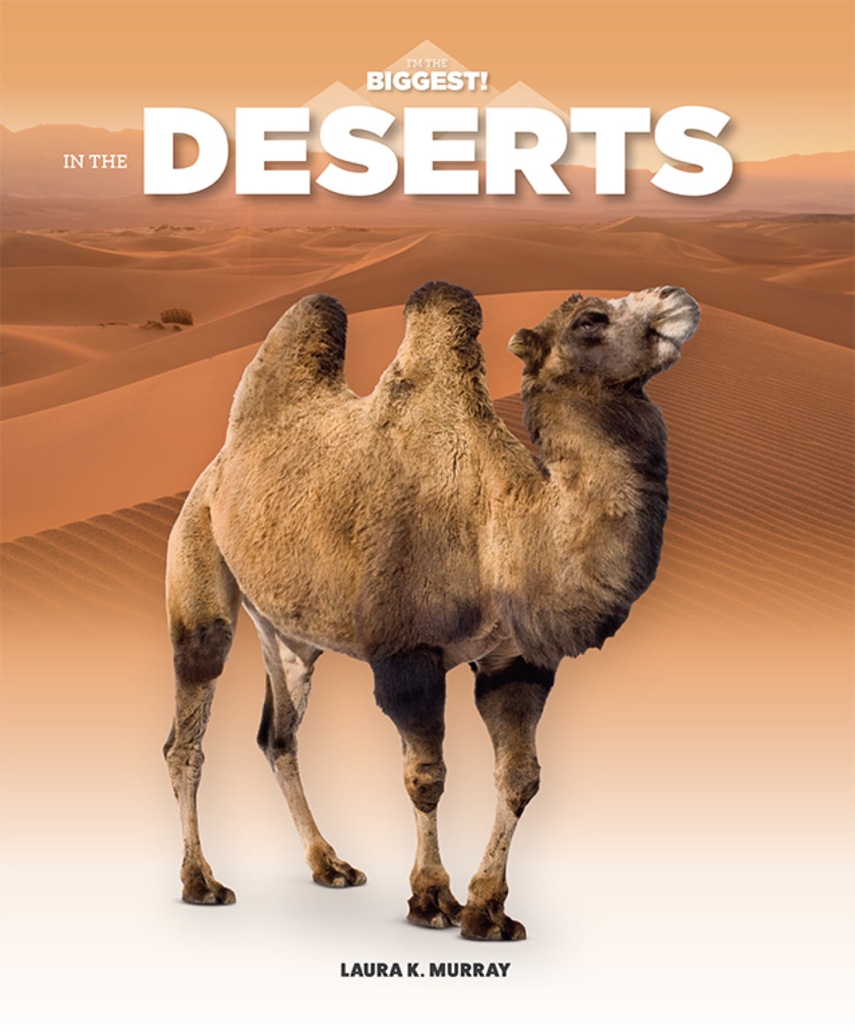 Desert Survival Guide: Essential Tips & Strategies for Harsh Environments - Perfect for Hikers, Adventurers & Outdoor Enthusiasts