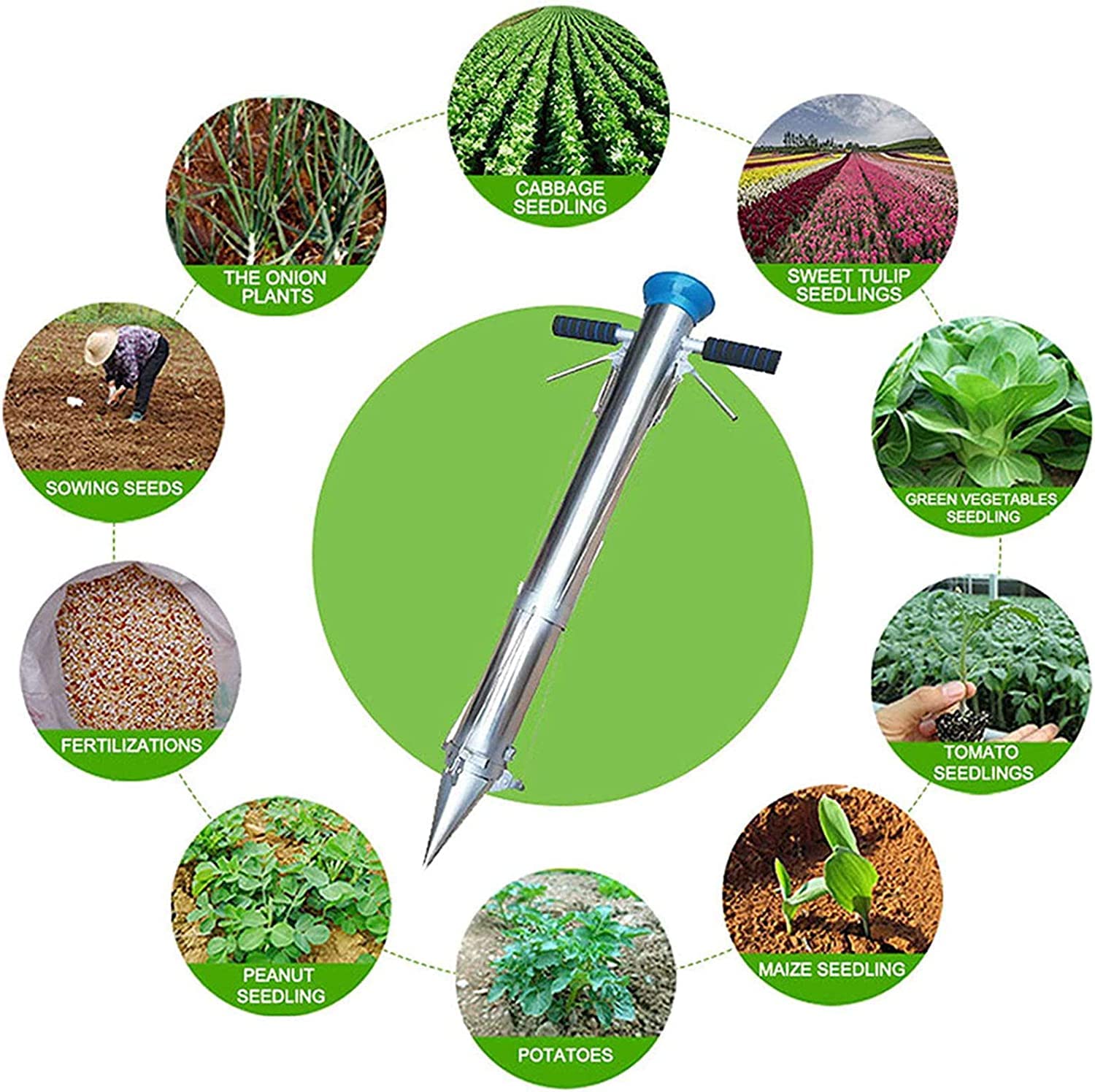 Manual Vegetable Seedling Transplanter with Long Sponge Handles - Comfortable Planting Tool for Cereal, Vegetable & Garden Seedlings - Perfect for Home Gardening, Farm & Greenhouse Use