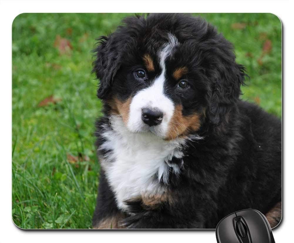 Premium Gaming Mouse Pad with Bernese Mountain Dog Design - Large Non-Slip Mouse Mat for PC, Laptop, Office & Gaming Setup - Perfect for Esports, Work & Home Use