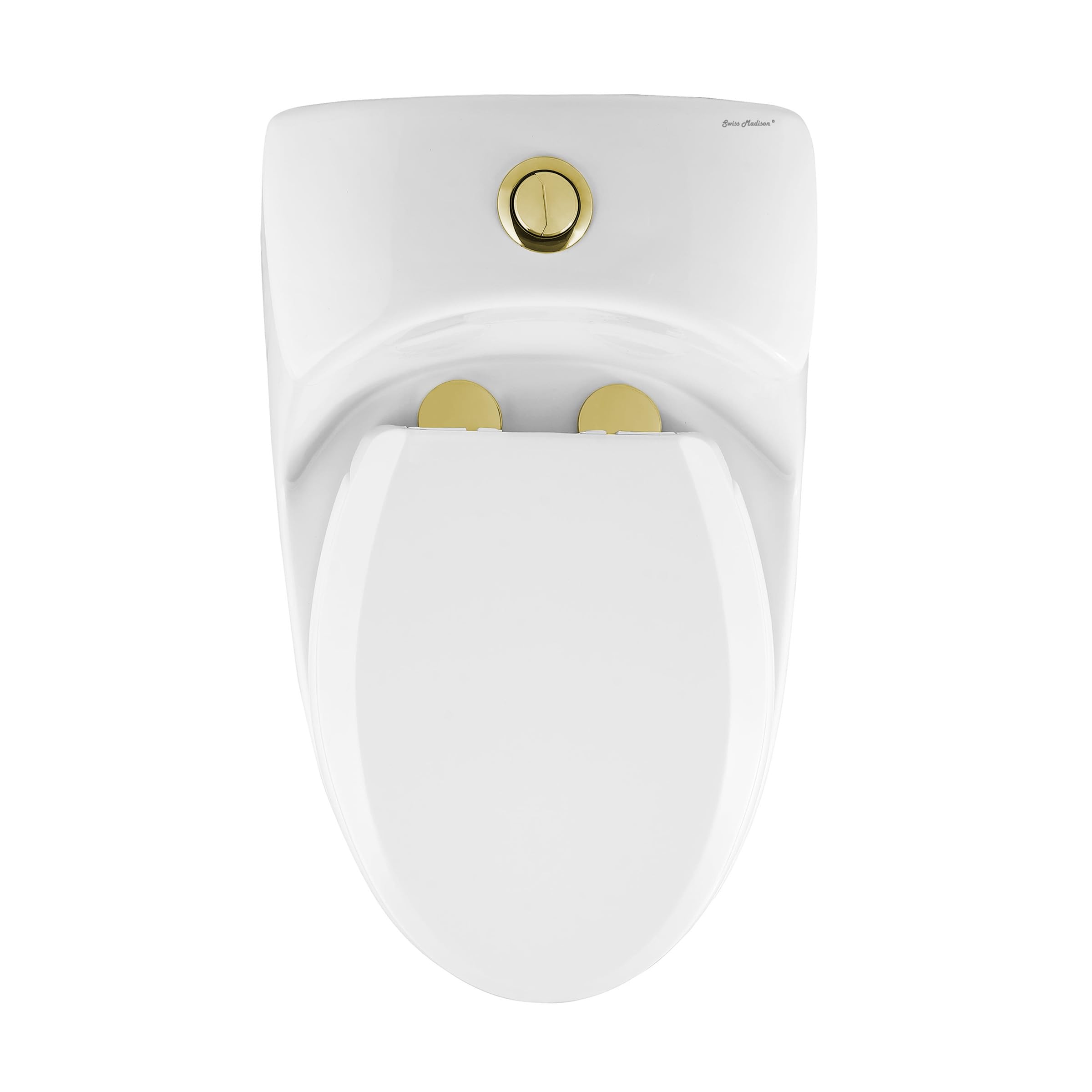 Luxury Chateau One Piece Elongated Toilet with Dual Flush System (1.1/1.6 GPF) & Brushed Gold Hardware - Modern Water-Saving Bathroom Upgrade for Homes & Hotels