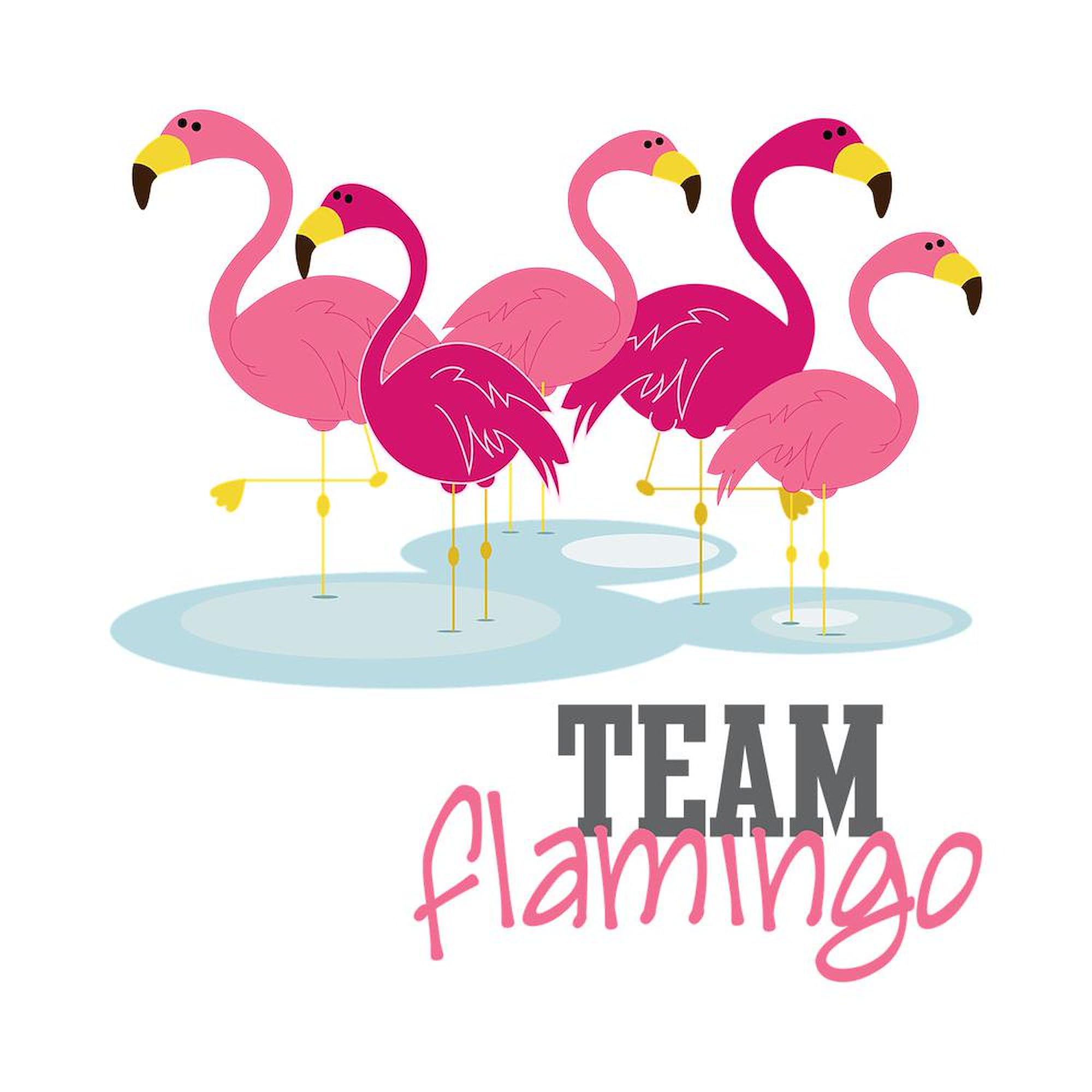 Team Flamingo Ceramic Coffee Mug 11 oz (325 ml) - Insulated Handle for Hot & Cold Drinks - Perfect for Office, Home, or Gift Giving
