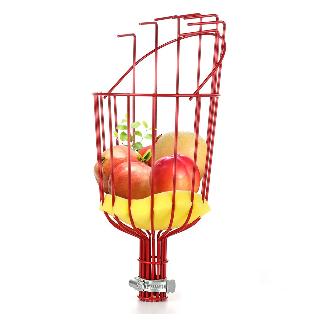 Telescopic Fruit Picker Tool for Harvesting Oranges, Mangoes, Avocados, Lemons & Pears - Lightweight Basket Head Fruit Harvester (Pole Not Included) - Perfect for Home Orchards, Backyard Harvesting & Commercial Fruit Picking