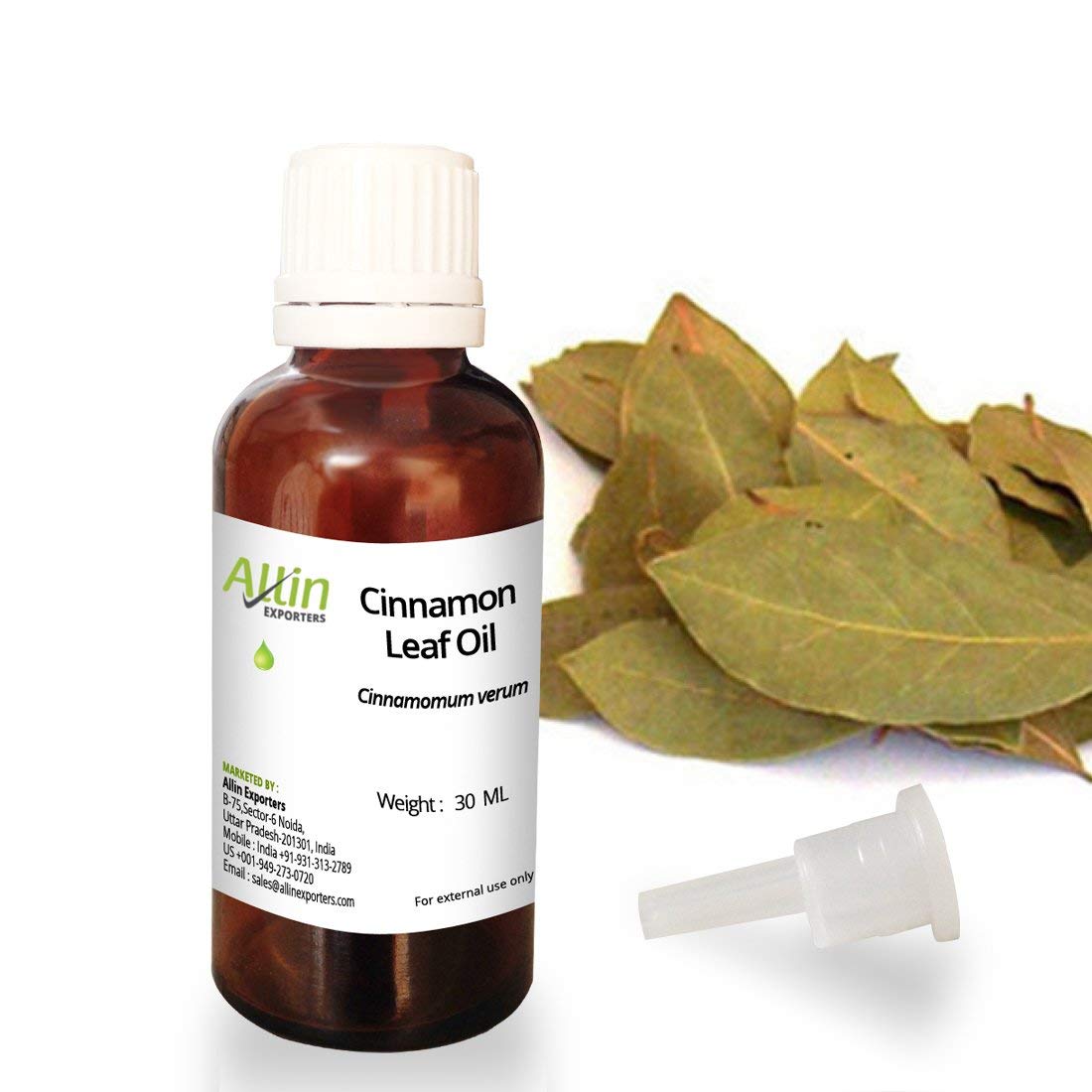 100% Pure & Natural Cinnamon Leaf Oil - Undiluted Essential Oil for Aromatherapy, DIY Skincare & Home Fragrance - 30ml Bottle by Allin Exporters