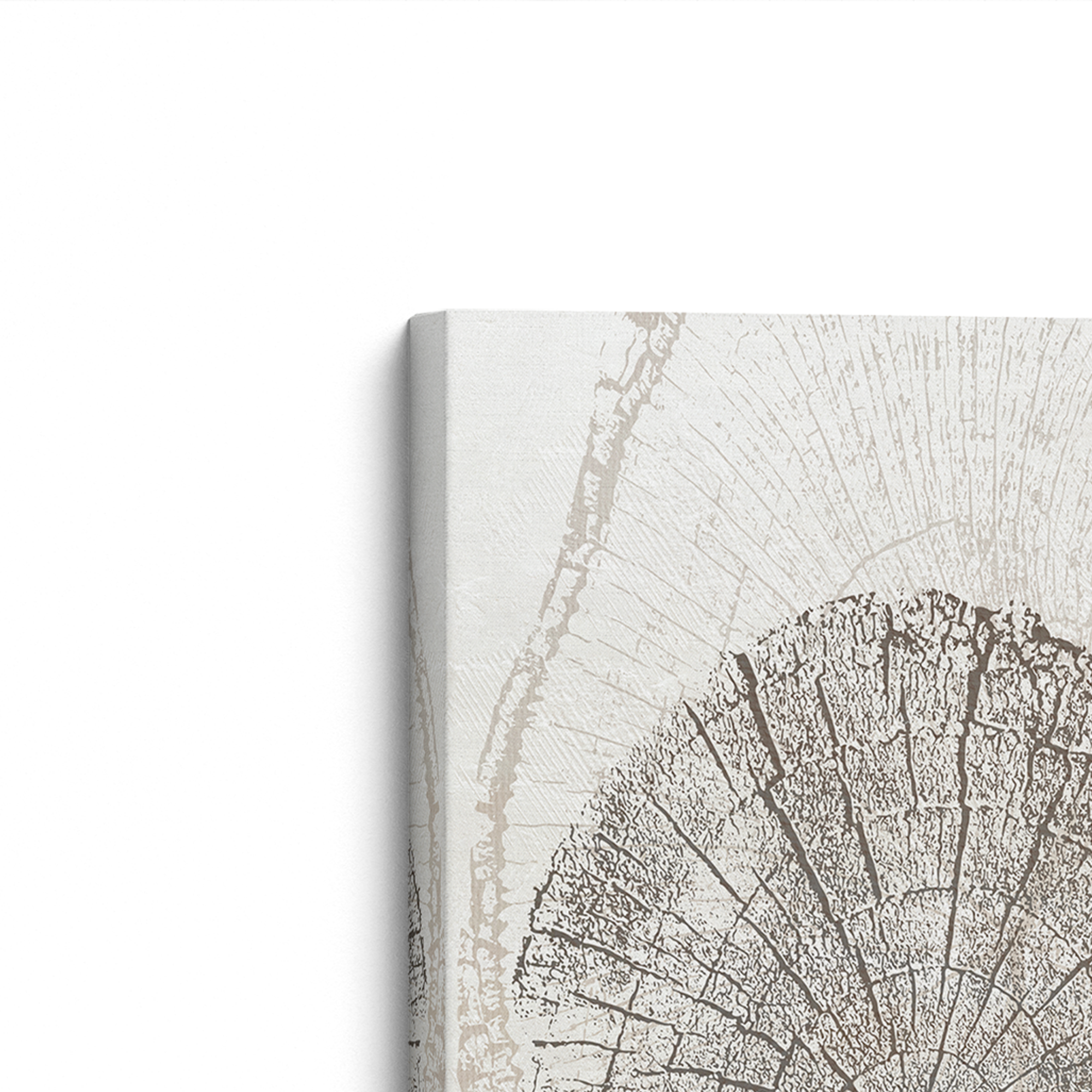 Beige Tree Ring Print III on Canvas - Modern Abstract Wall Art for Living Room, Bedroom & Office Decor