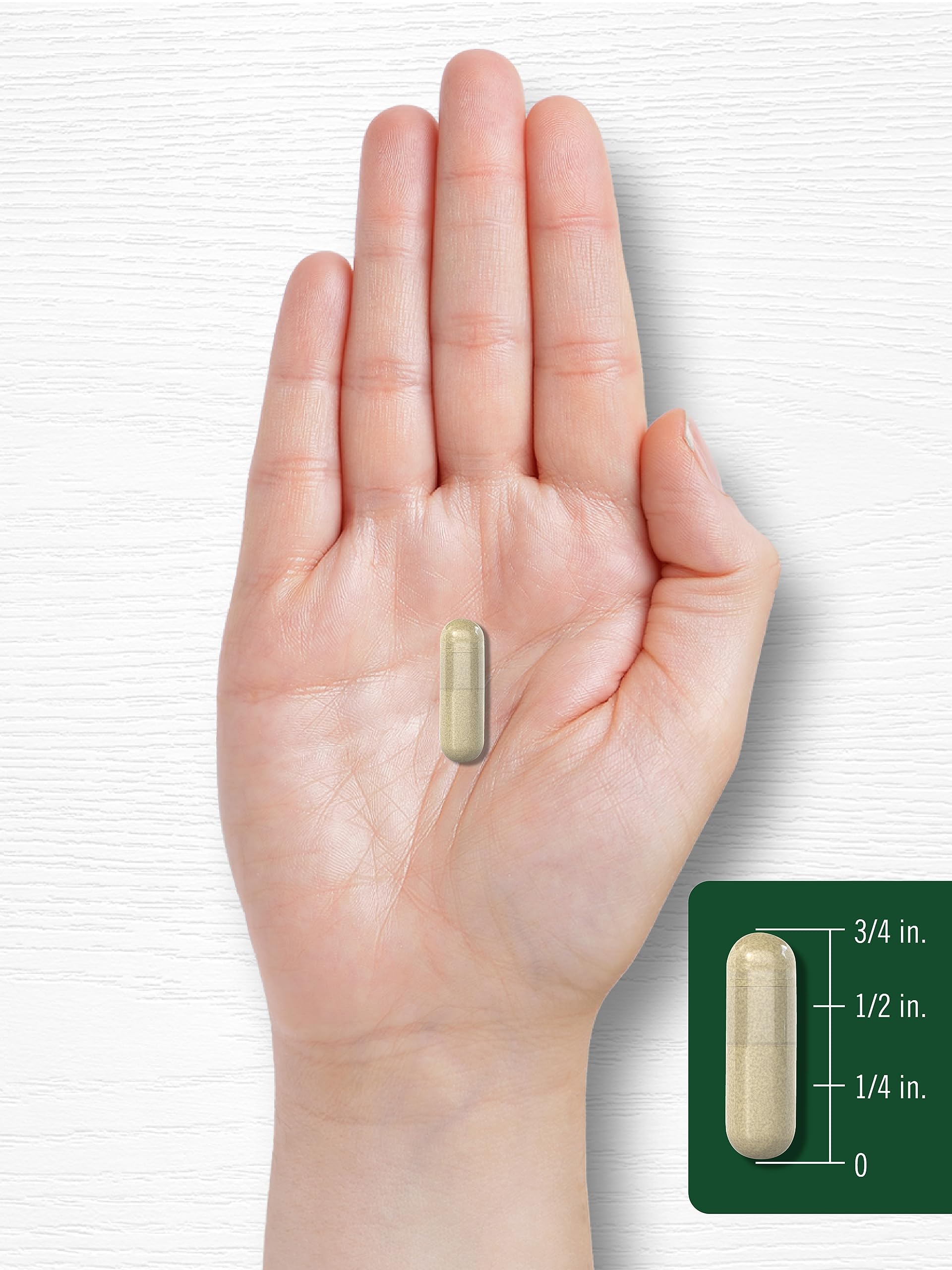 Carlyle Ginseng Supplement 120 Capsules - 1200mg Non-GMO, Gluten Free - Supports Energy, Focus & Immune Health - Perfect for Busy Professionals & Students