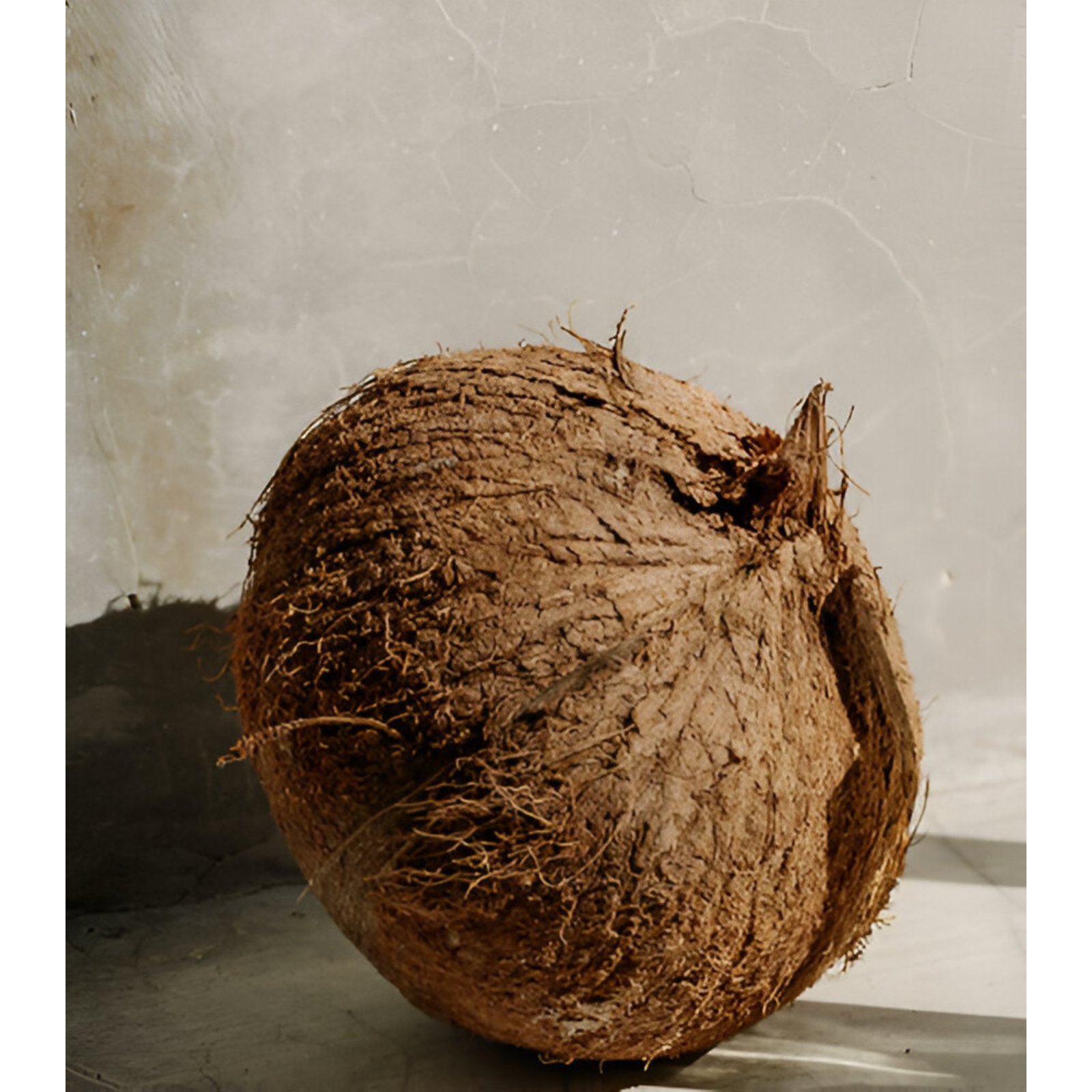 COQUI COQUI Coco Coco Reed Diffuser 375ml - Premium Coconut Scented Home Fragrance Oil for Living Room, Bedroom & Bathroom