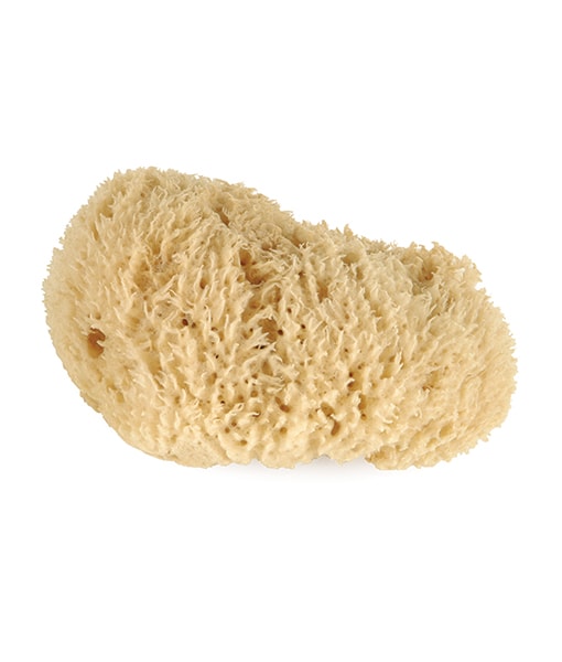 Premium Natural Sea Sponges for Bath & Body - Eco-Friendly, Hypoallergenic Skincare & Makeup Tools - Perfect for Sensitive Skin, Baby Care, and Eco-Conscious Beauty Routines