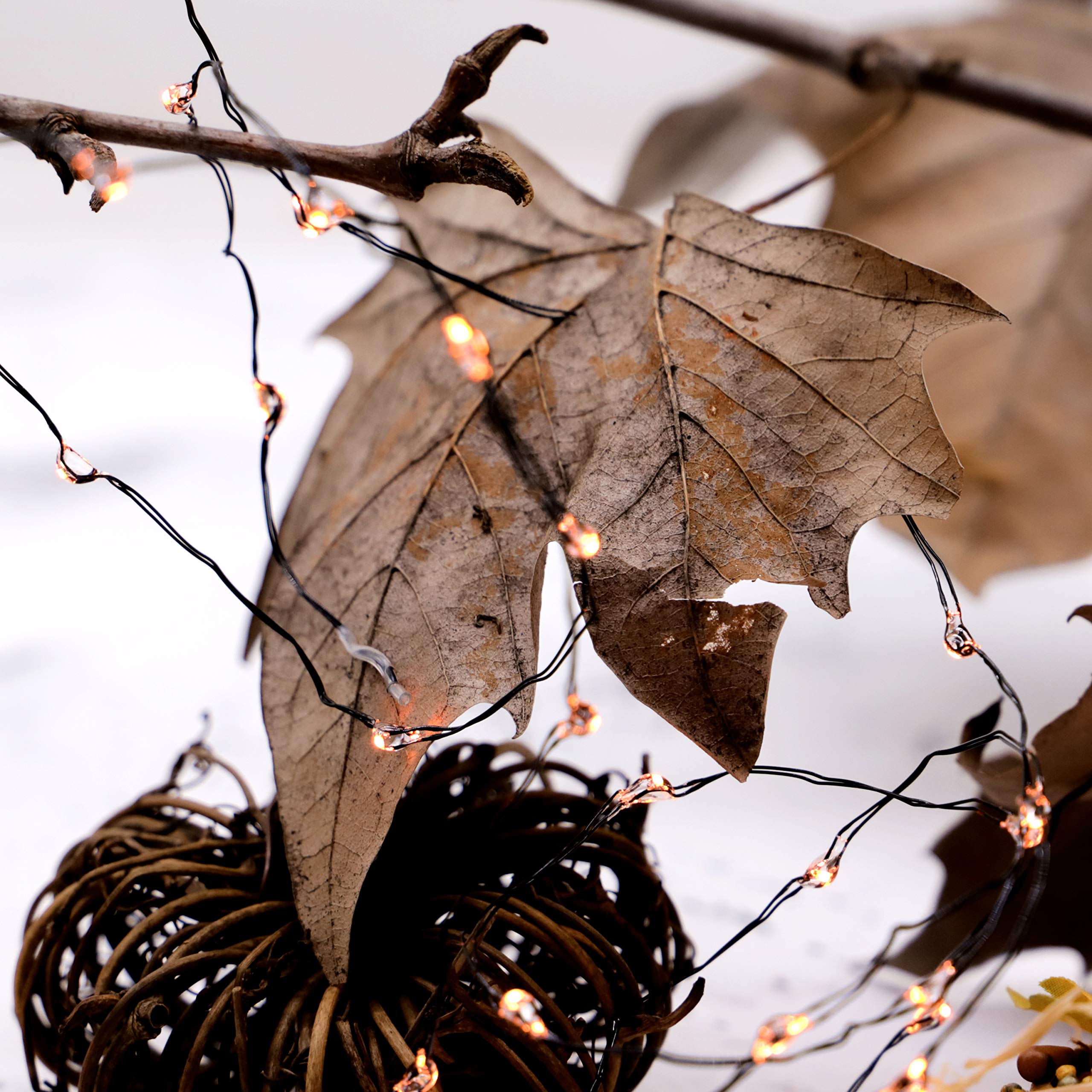Fall Fairy Lights - Battery Operated String Lights for Thanksgiving & Indoor Decor (Orange) - Perfect for Autumn Home Decor