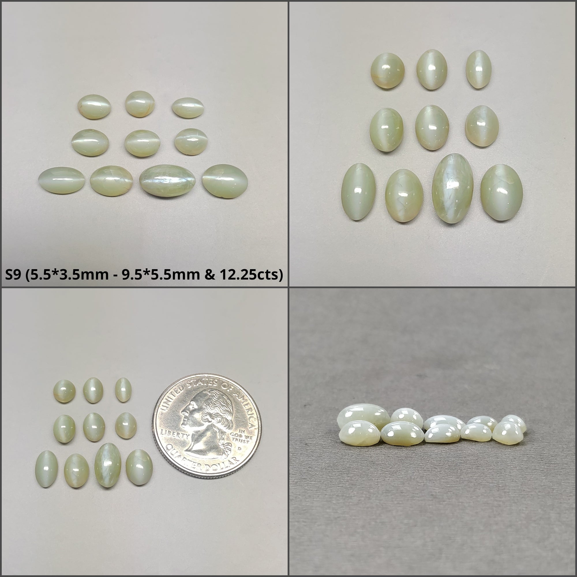 Natural Untreated Chrysoberyl Cat's Eye Gemstone Cabochon - Round & Oval Shapes (2pcs, 3pcs, 6pcs, 10pcs) | Healing Crystal for Jewelry Making, Meditation & Energy Work