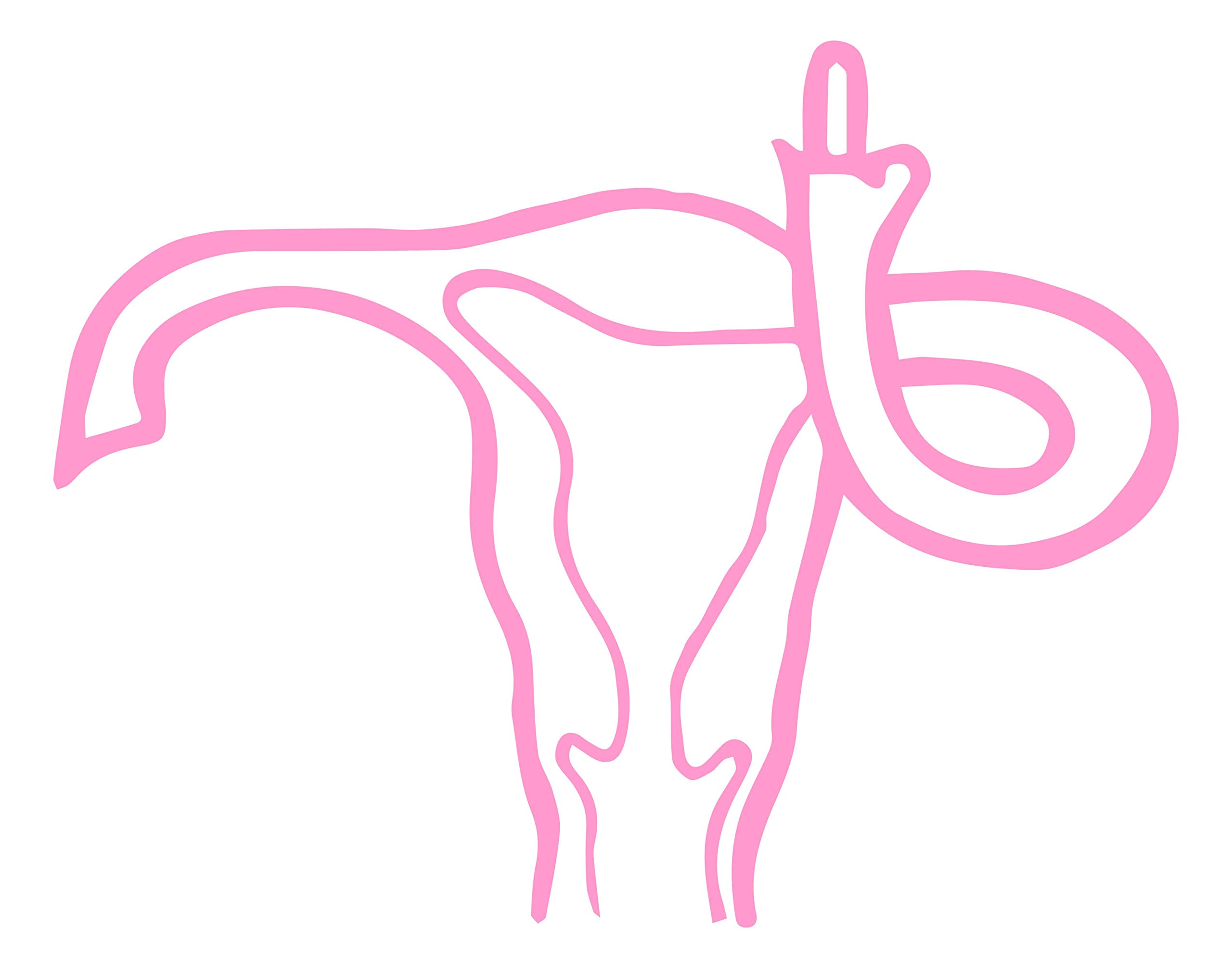 Uterus Middle Finger Pink Vinyl Die Cut Decal - 4.75