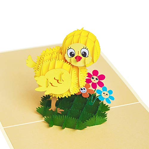 Baby Chicken