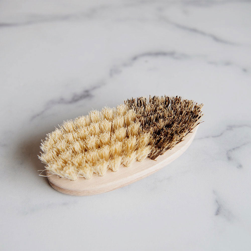 Organic Wooden Vegetable Brush - Natural Bristles for Cleaning Fruits & Vegetables - Eco-Friendly Kitchen Scrubber for Fresh Produce - Perfect for Organic Farming & Healthy Cooking