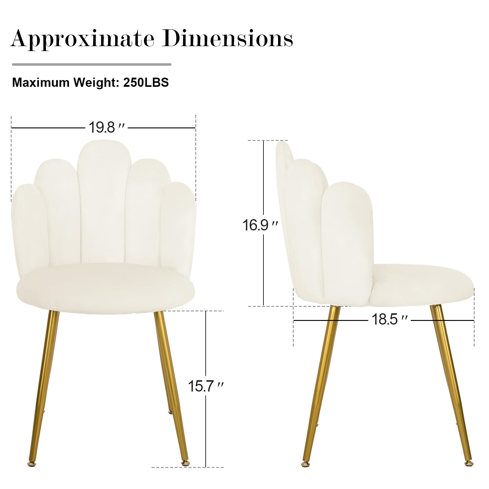 Midcentury Modern Velvet Vanity Chair with Gold Legs - Cream Makeup Chair with Back Support for Bedroom, Living Room & Dressing Room | Perfect for Glamorous Makeup Sessions & Elegant Home Decor