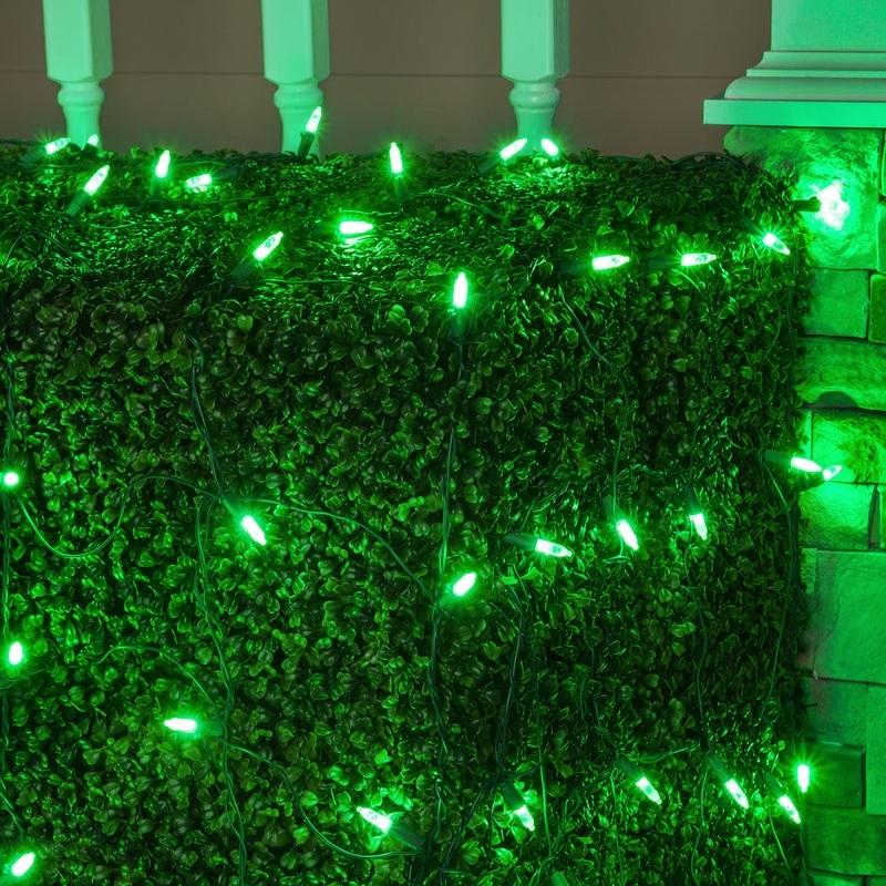 6' x 4' Tangle-Free Net Style Incandescent Christmas Lights - Holiday Wonderland Decor for Indoor/Outdoor Use - Perfect for Trees, Bushes, and House Exteriors