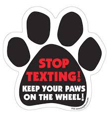 STOP TEXTING Pet Magnet - Funny No Phone Zone Sign for Dogs & Cats - Perfect for Pet Owners, Home Decor, and Gifts